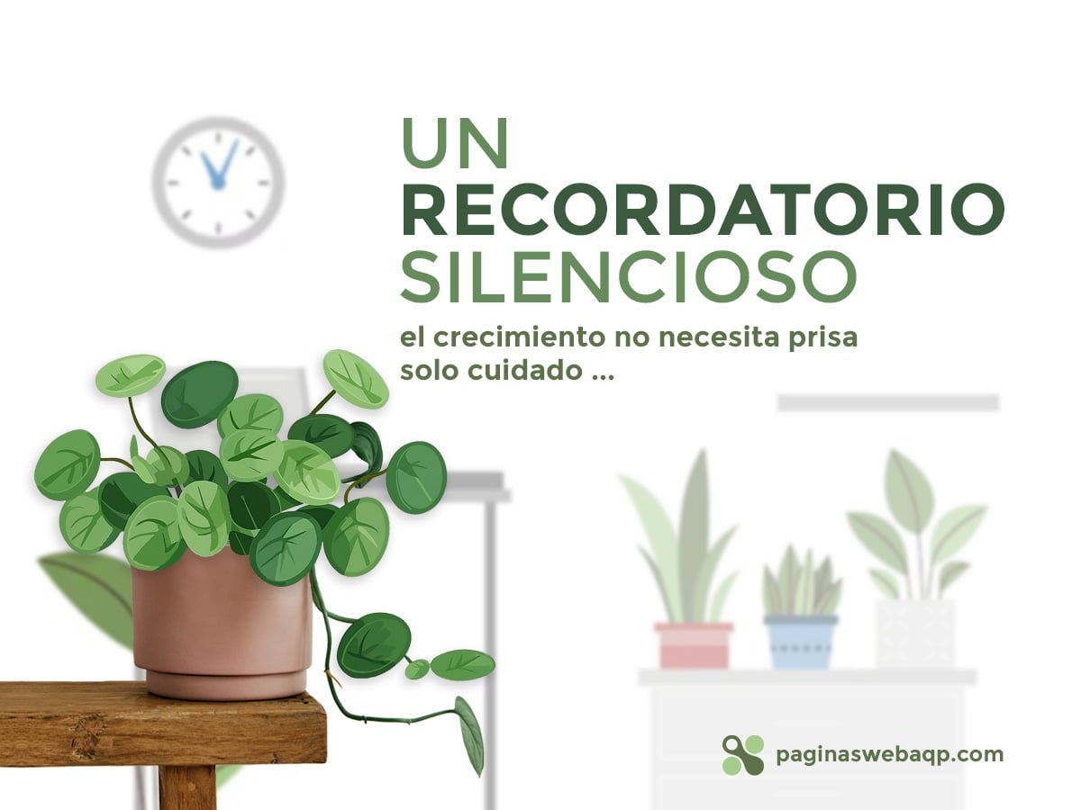 🌿 La importancia de las plantas en tu entorno y oficina